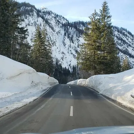 Daire Brunnhaus Schneizlreuth